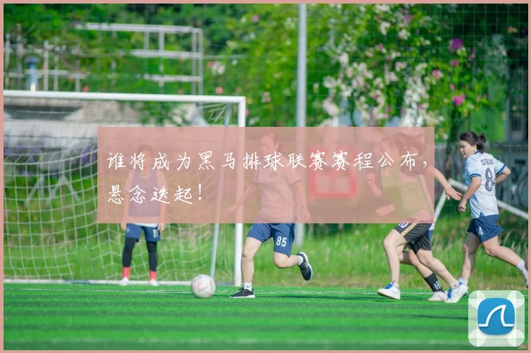 谁将成为黑马排球联赛赛程公布,悬念迭起!