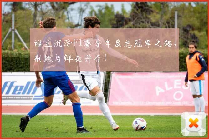 谁主沉浮F1赛季年度总冠军之路，荆棘与鲜花并存！