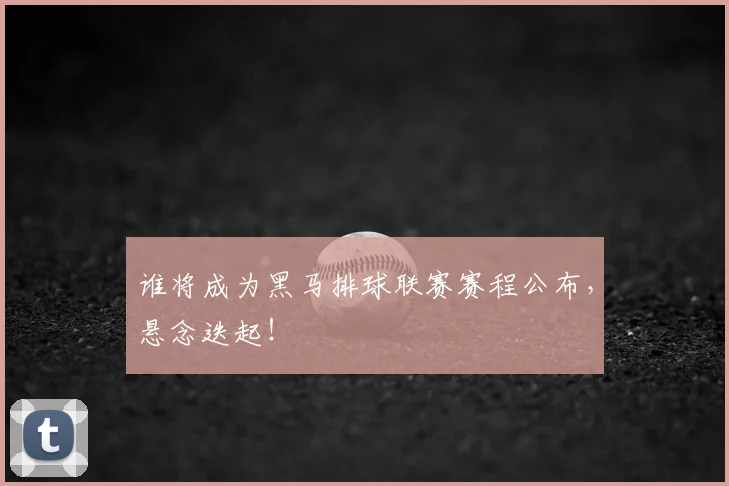 谁将成为黑马排球联赛赛程公布，悬念迭起！