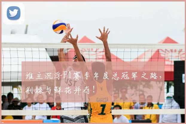 谁主沉浮F1赛季年度总冠军之路,荆棘与鲜花并存!